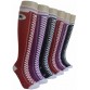 Ladies Knee-high Socks - EBK-335